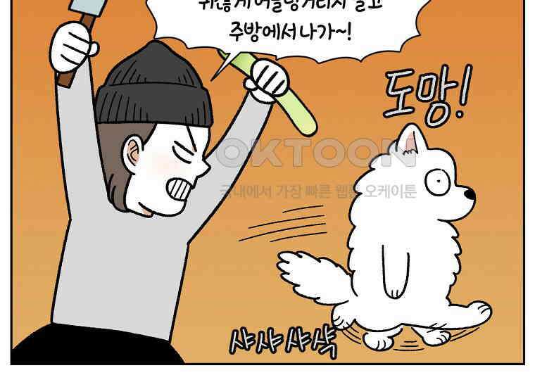 극한견주 시즌2 21화 기웃대는 개 5