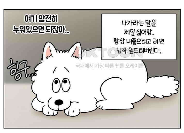 극한견주 시즌2 21화 기웃대는 개 8