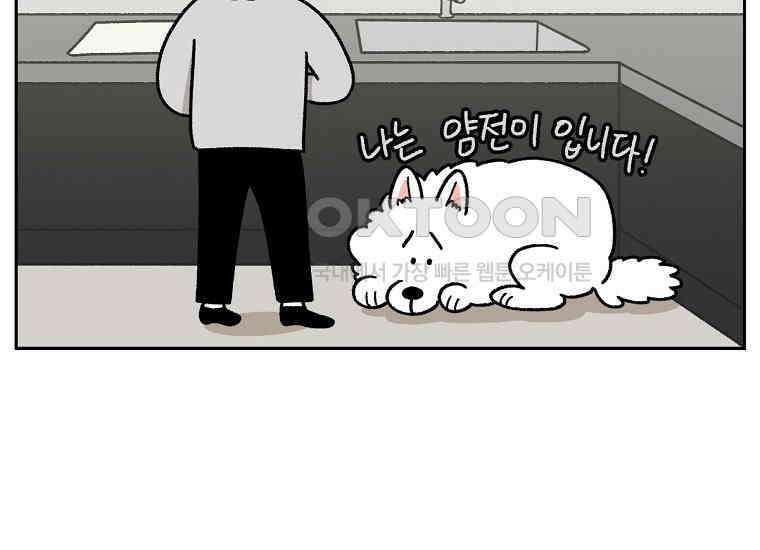 극한견주 시즌2 21화 기웃대는 개 10