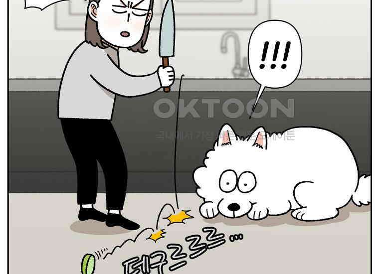 극한견주 시즌2 21화 기웃대는 개 13