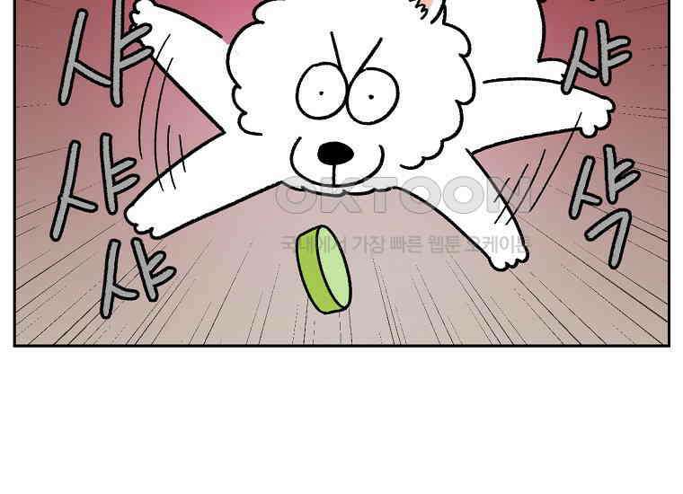 극한견주 시즌2 21화 기웃대는 개 15