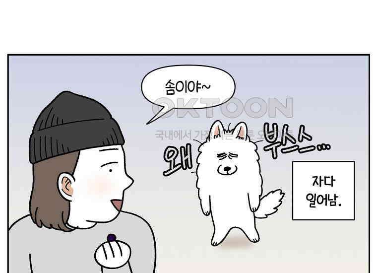 극한견주 시즌2 21화 기웃대는 개 25