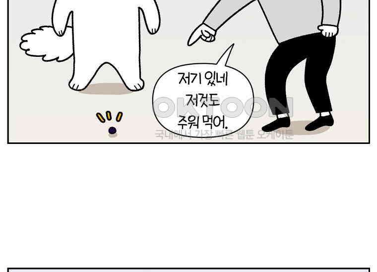 극한견주 시즌2 21화 기웃대는 개 30