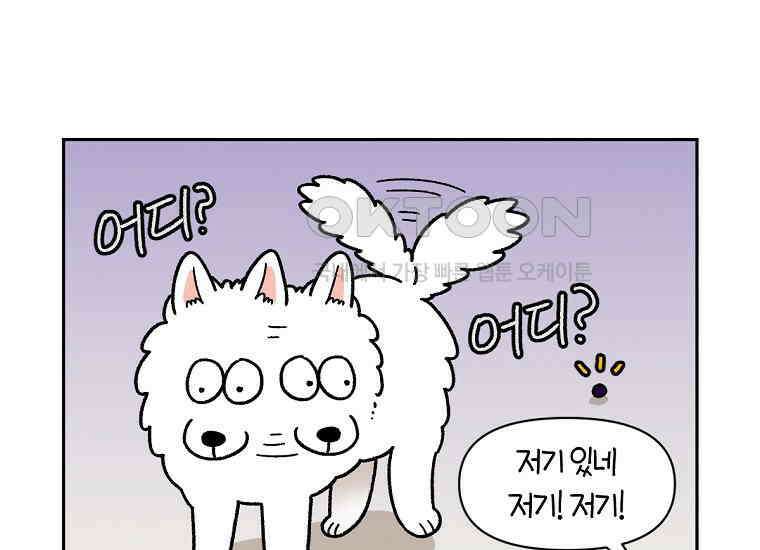 극한견주 시즌2 21화 기웃대는 개 32