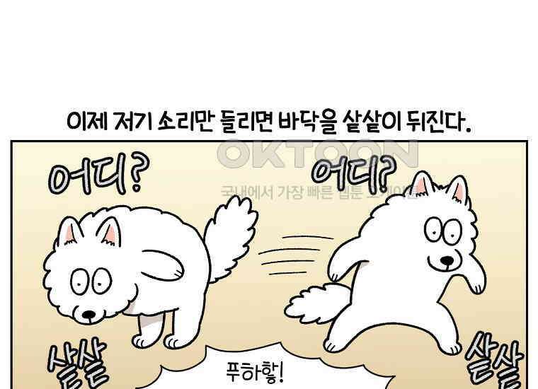 극한견주 시즌2 21화 기웃대는 개 35