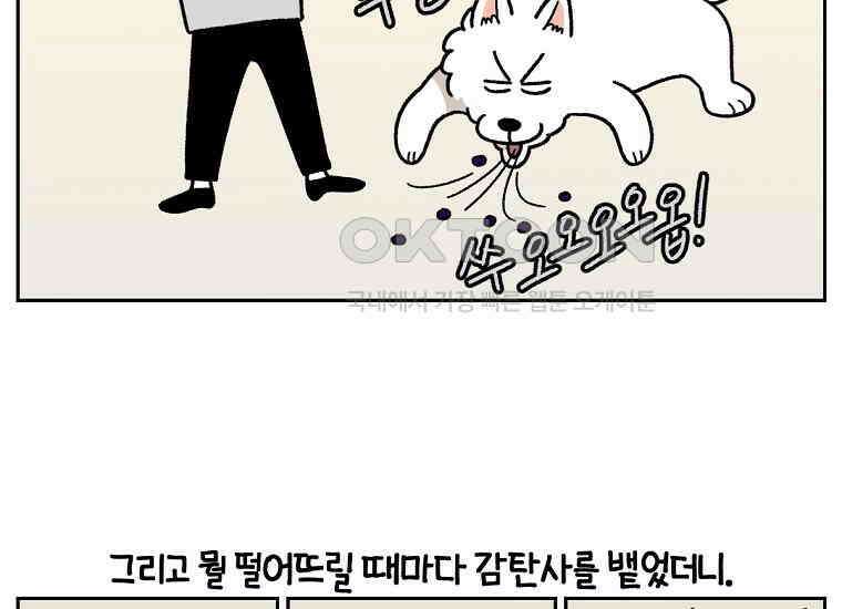 극한견주 시즌2 21화 기웃대는 개 37