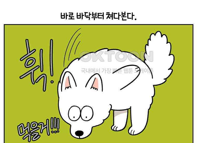 극한견주 시즌2 21화 기웃대는 개 44