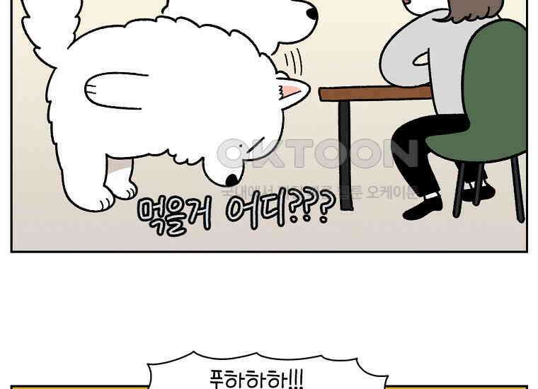 극한견주 시즌2 21화 기웃대는 개 46