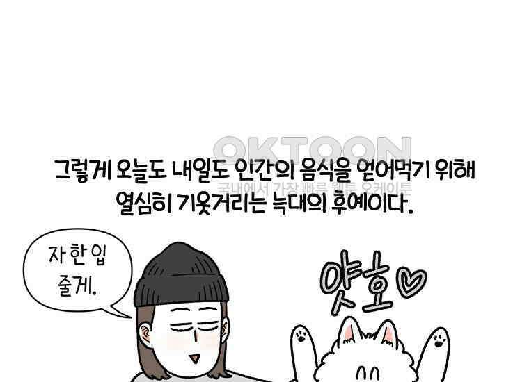 극한견주 시즌2 21화 기웃대는 개 48