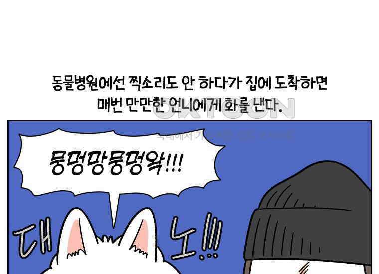 극한견주 시즌2 27화 동물병원(2) 49