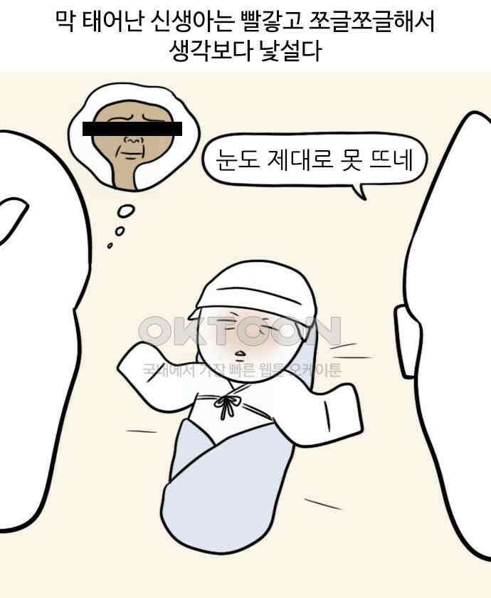 신혼일기 75화 신생아의 신비 1