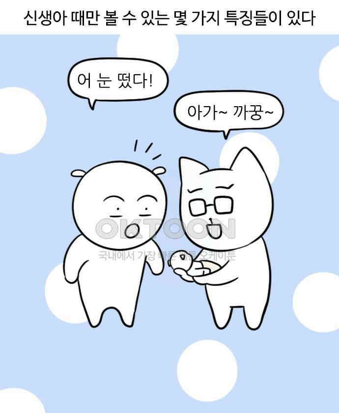 신혼일기 75화 신생아의 신비 3