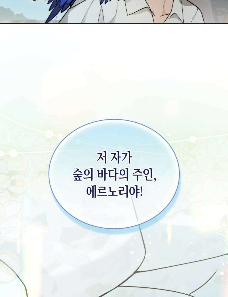 바다새와 늑대 29화 2