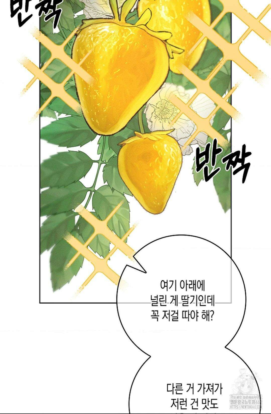 비비(Be, be) 49화 16