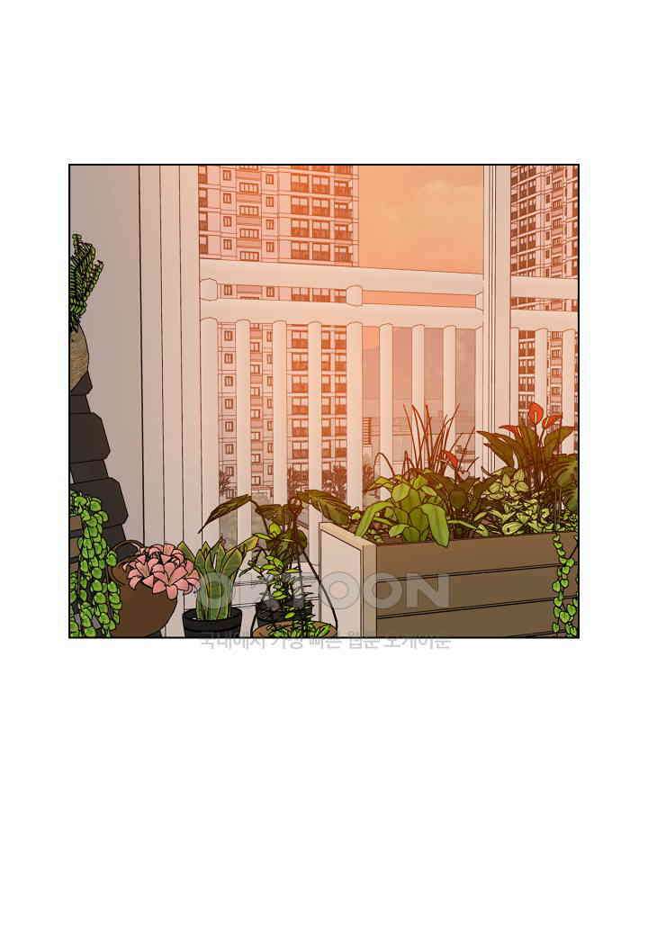 겹사돈 사기단 - 57화 1
