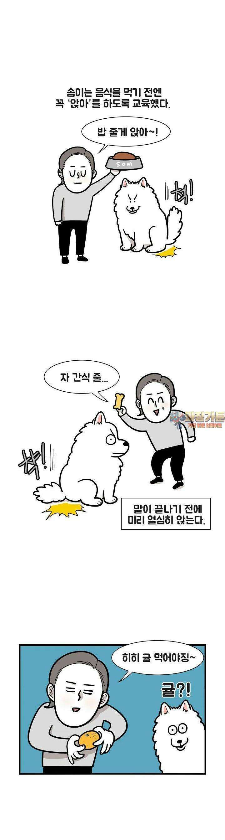 극한견주 41화 줘 1
