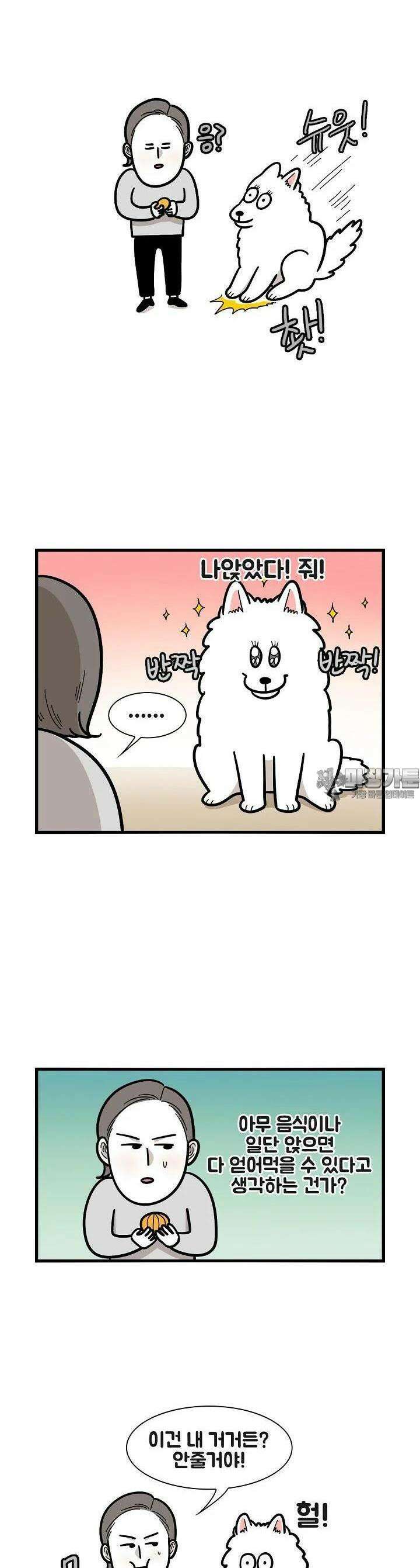 극한견주 41화 줘 2