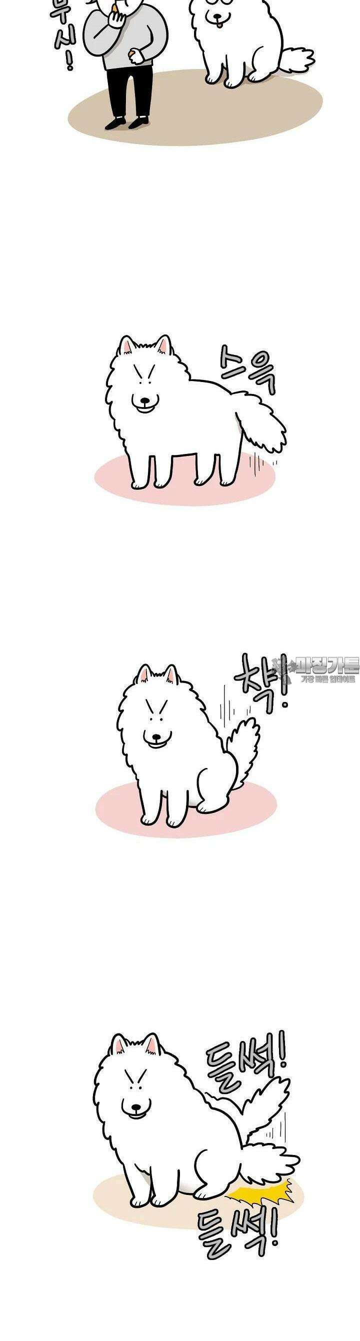극한견주 41화 줘 3