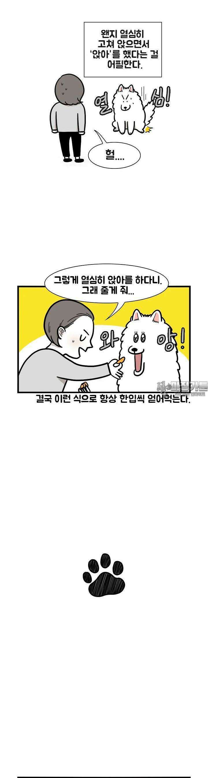 극한견주 41화 줘 4