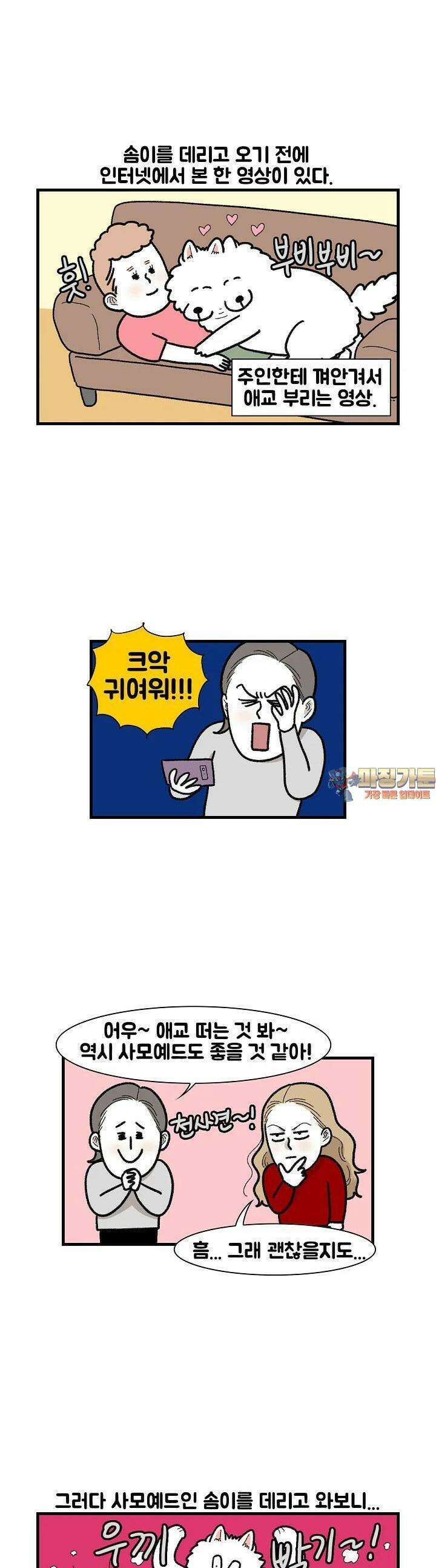 극한견주 48화 다른 사모예드 1