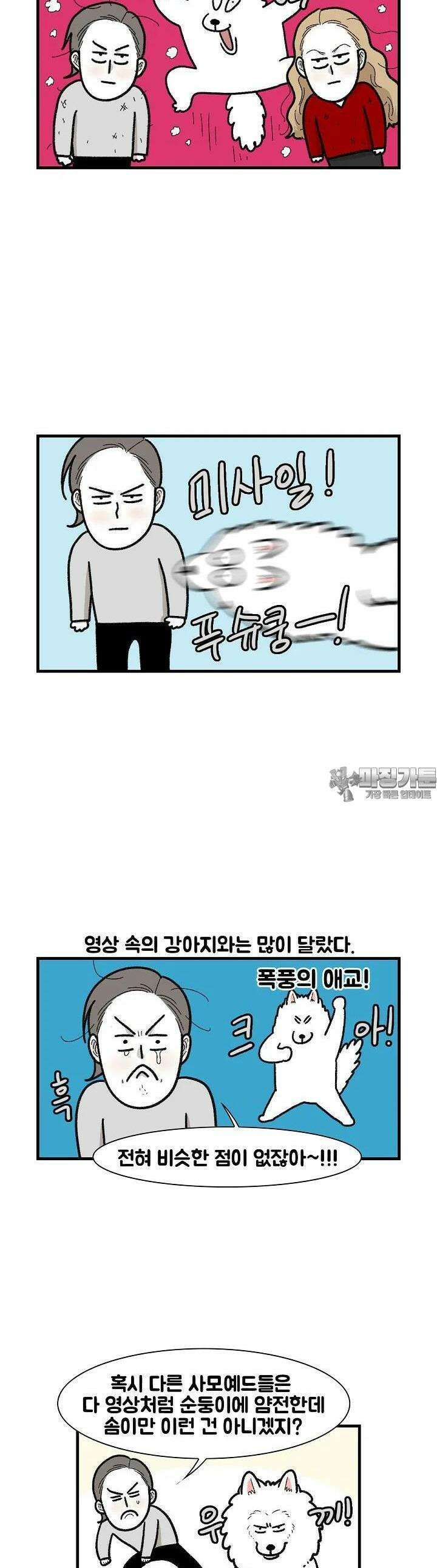 극한견주 48화 다른 사모예드 2