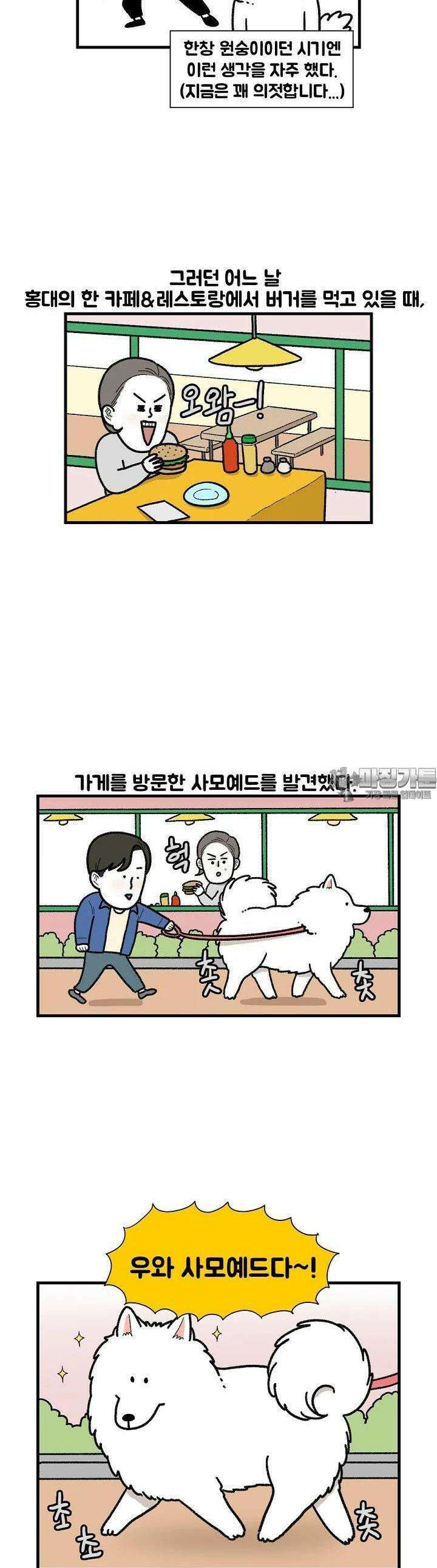 극한견주 48화 다른 사모예드 3