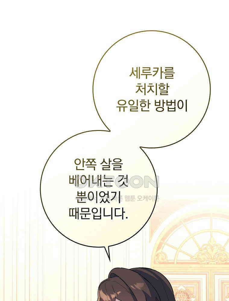 이거 전략게임 아니었나요 26화 51