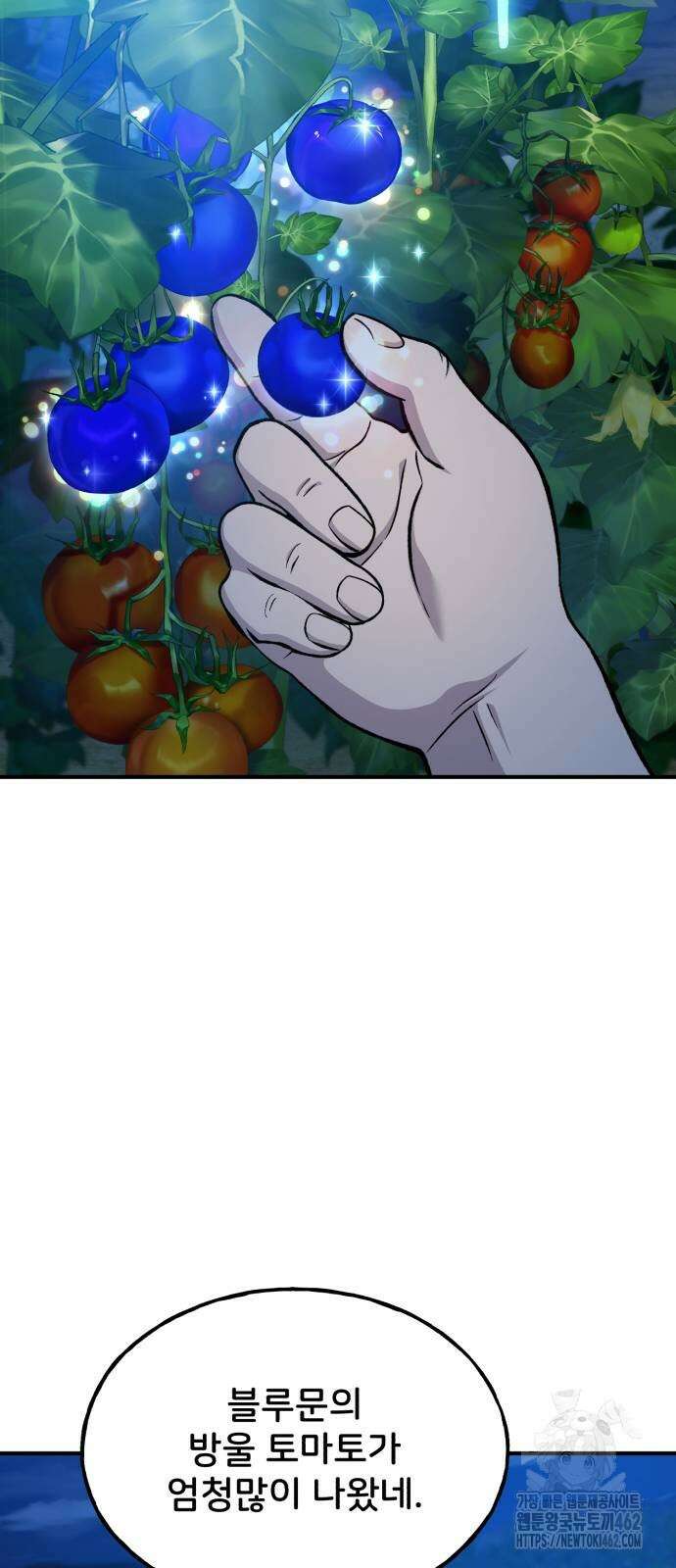 나혼자 탑에서 농사 81화 11
