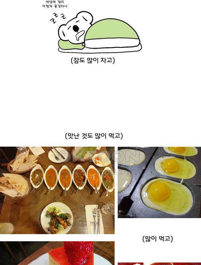 코알랄라 후기 5