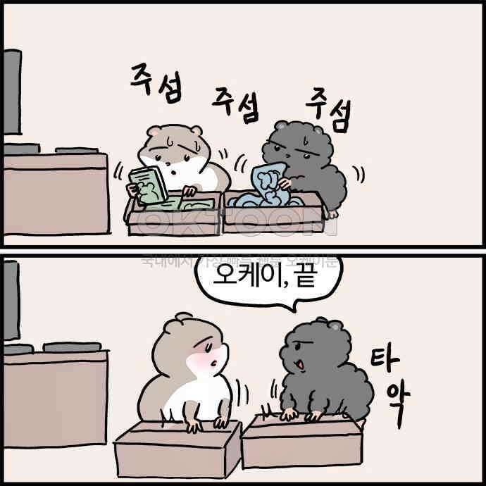 흔한햄 2부 19화 : 긴장감 맥스 3