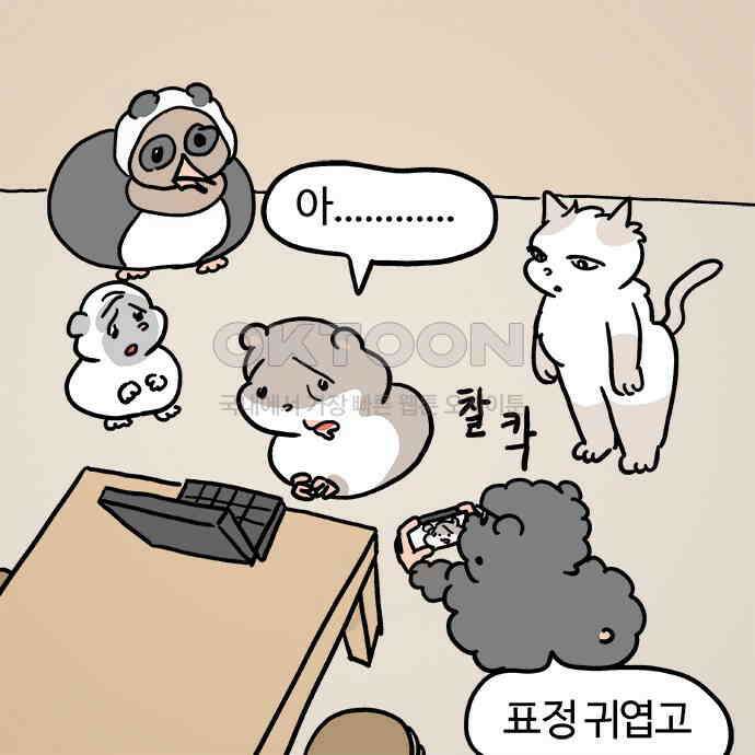 흔한햄 2부 24화 : 고백 공격? 3