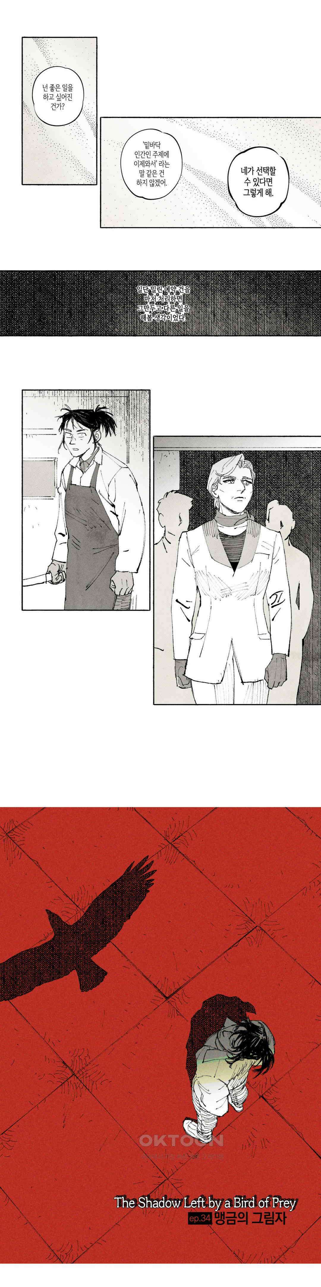 불멸의 날들 맹금의 그림자 1