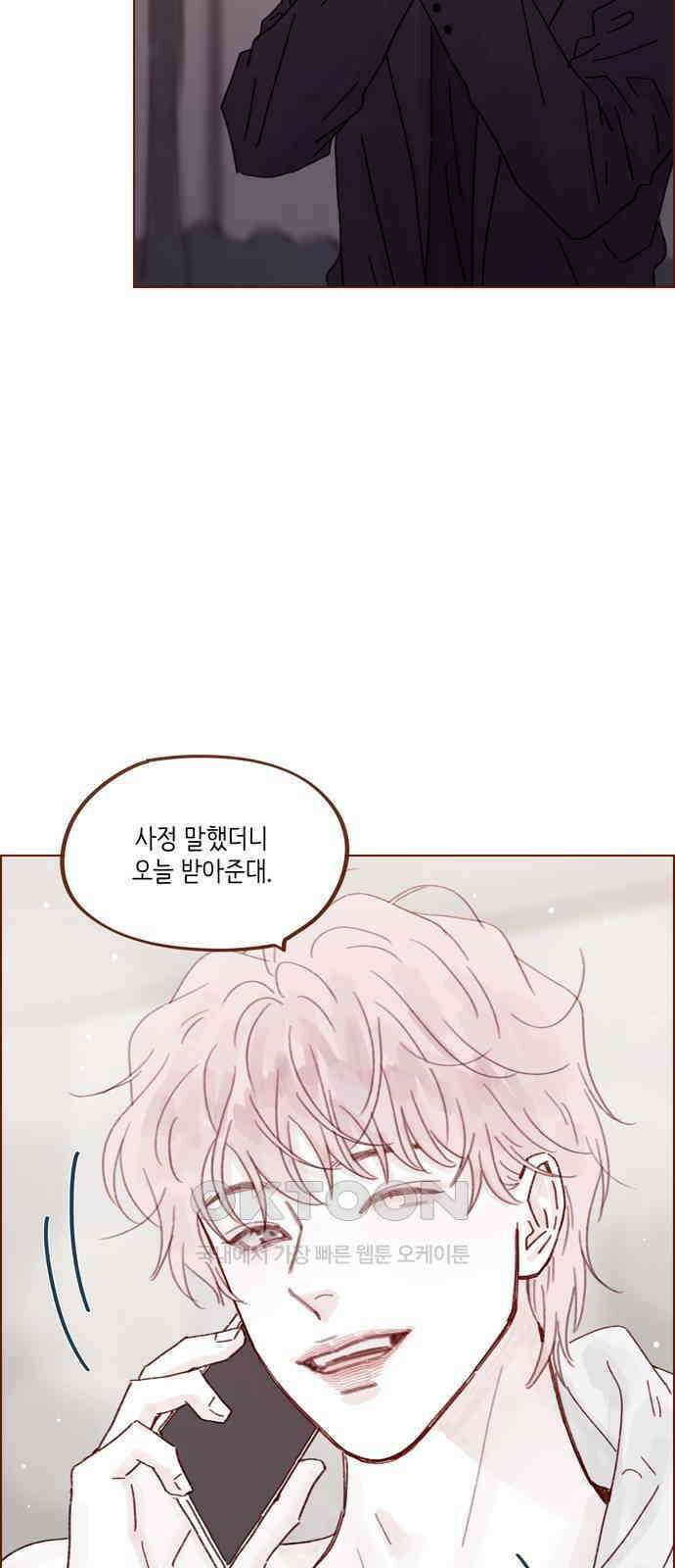 홍시는 날 좋아해! 285화 : 오늘이 첫 데이트라고요? 19
