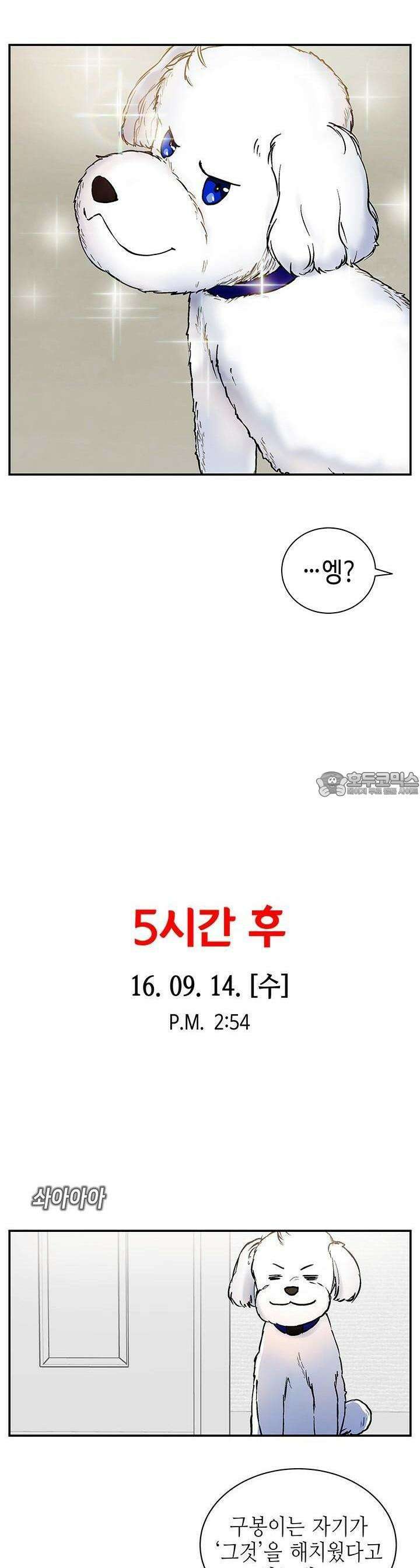 개의 눈으로 보라 3화 16
