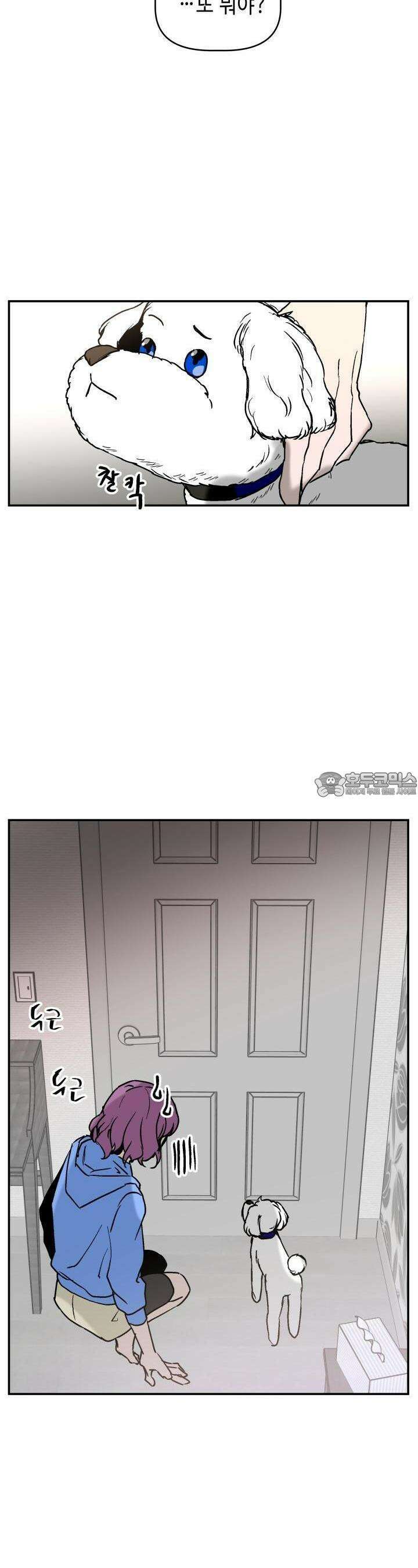 개의 눈으로 보라 13화 14