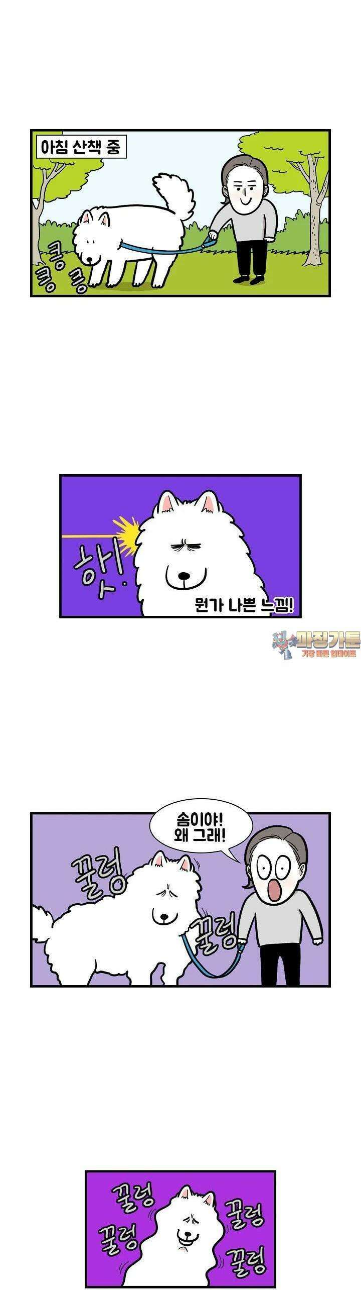 극한견주 52화 걱정 1
