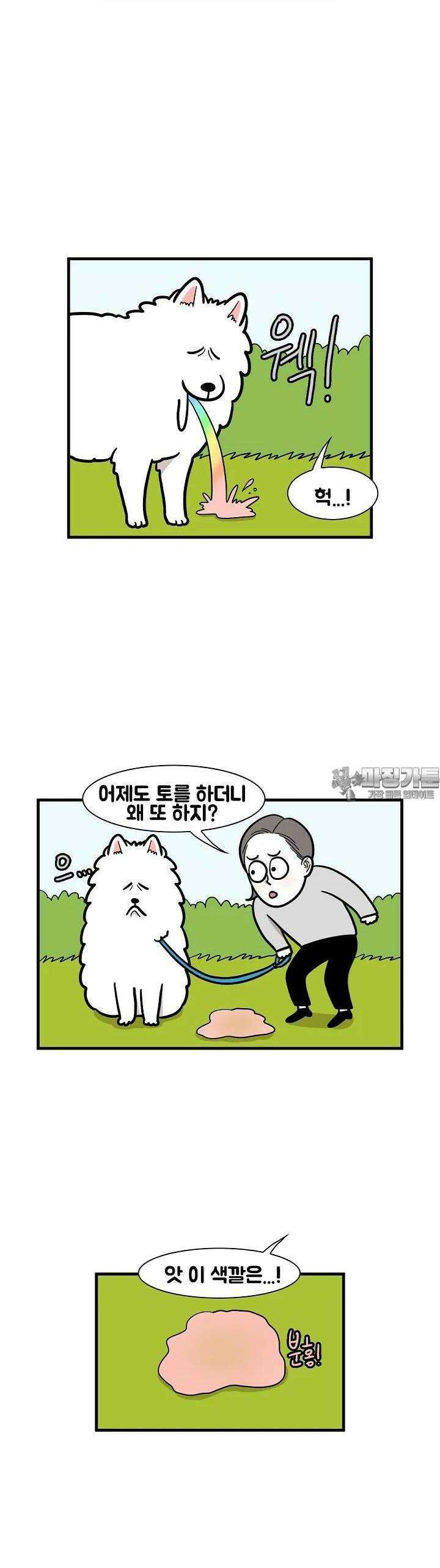 극한견주 52화 걱정 2