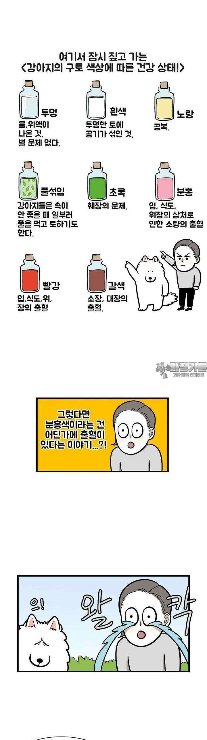 극한견주 52화 걱정 3