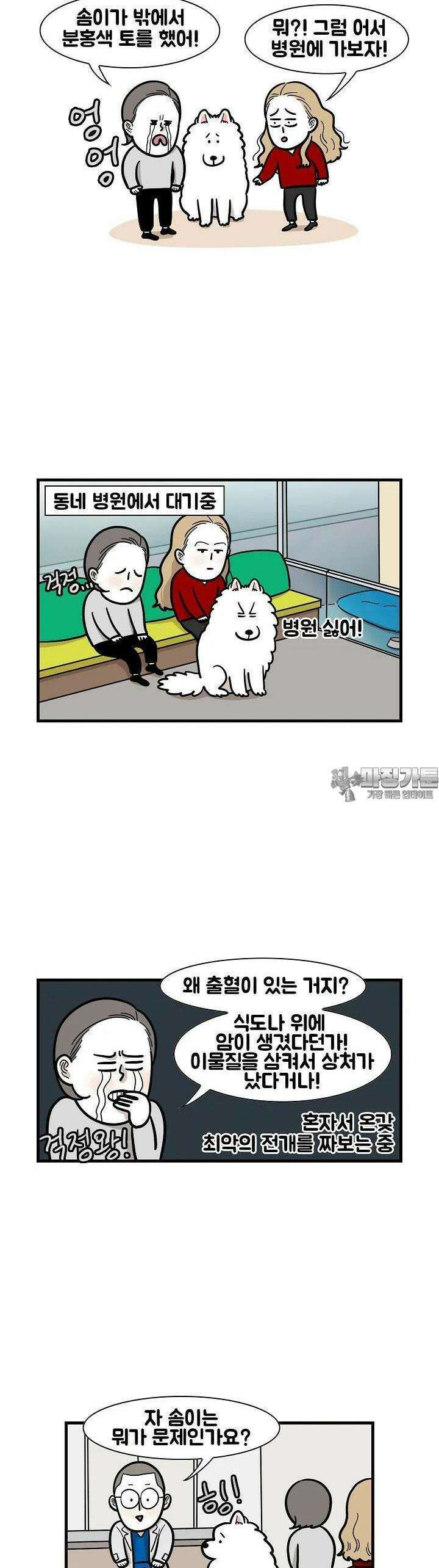 극한견주 52화 걱정 4