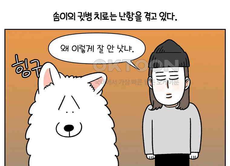 극한견주 시즌2 29화 말을 잘 듣는 건지 안 듣는 건지 모르겠는 개 3