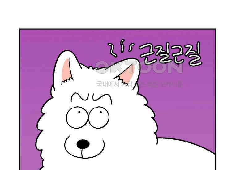 극한견주 시즌2 29화 말을 잘 듣는 건지 안 듣는 건지 모르겠는 개 6