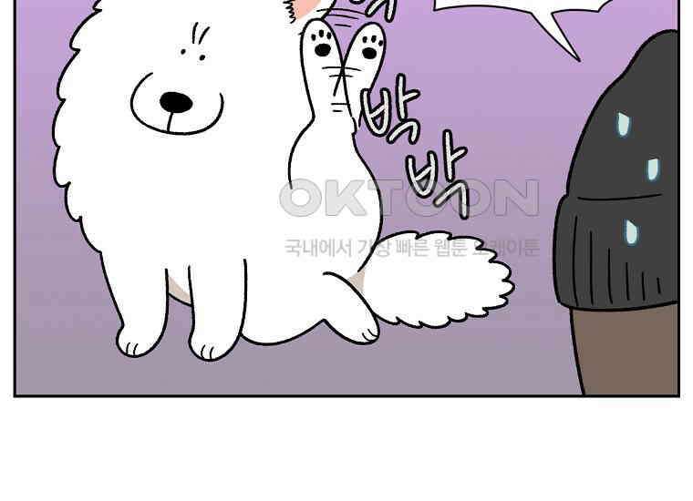 극한견주 시즌2 29화 말을 잘 듣는 건지 안 듣는 건지 모르겠는 개 8