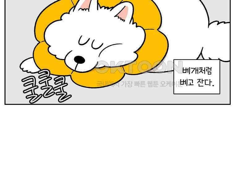 극한견주 시즌2 29화 말을 잘 듣는 건지 안 듣는 건지 모르겠는 개 15