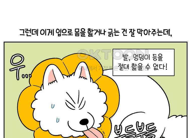 극한견주 시즌2 29화 말을 잘 듣는 건지 안 듣는 건지 모르겠는 개 16