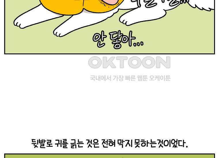 극한견주 시즌2 29화 말을 잘 듣는 건지 안 듣는 건지 모르겠는 개 17