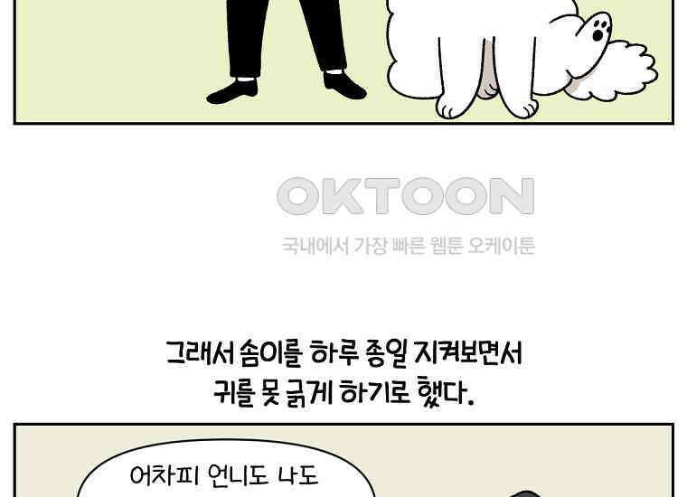 극한견주 시즌2 29화 말을 잘 듣는 건지 안 듣는 건지 모르겠는 개 20