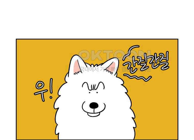 극한견주 시즌2 29화 말을 잘 듣는 건지 안 듣는 건지 모르겠는 개 24