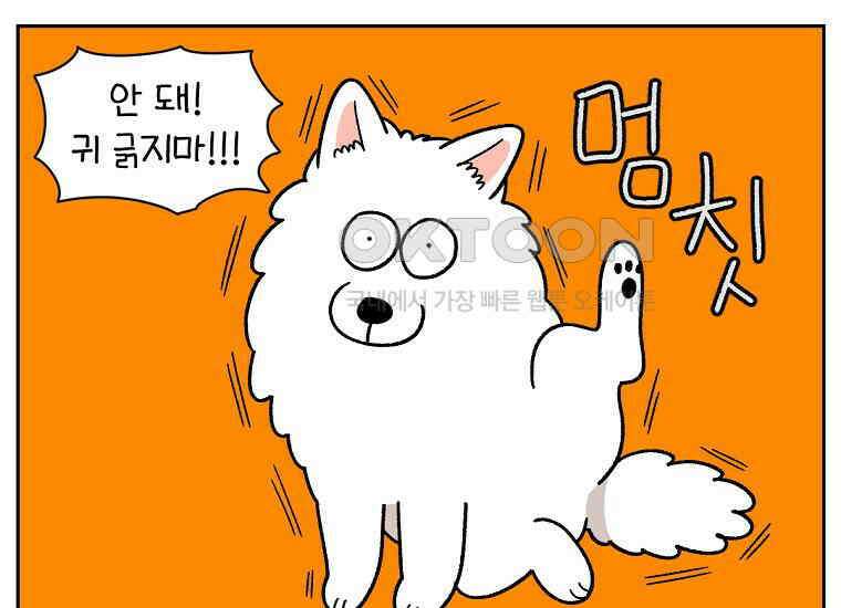 극한견주 시즌2 29화 말을 잘 듣는 건지 안 듣는 건지 모르겠는 개 27