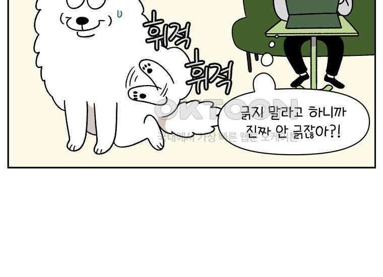 극한견주 시즌2 29화 말을 잘 듣는 건지 안 듣는 건지 모르겠는 개 29