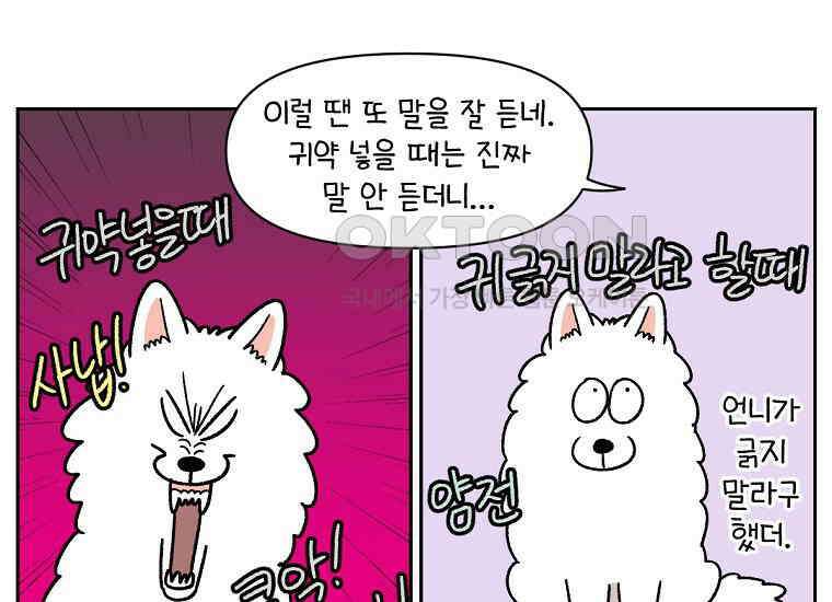 극한견주 시즌2 29화 말을 잘 듣는 건지 안 듣는 건지 모르겠는 개 30